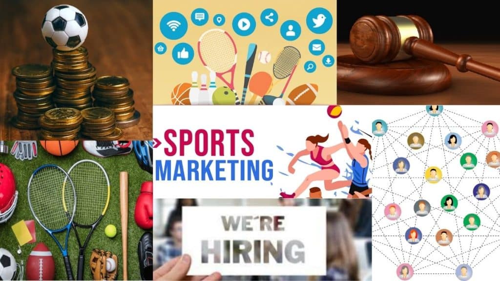 Opportunities in the sports industry