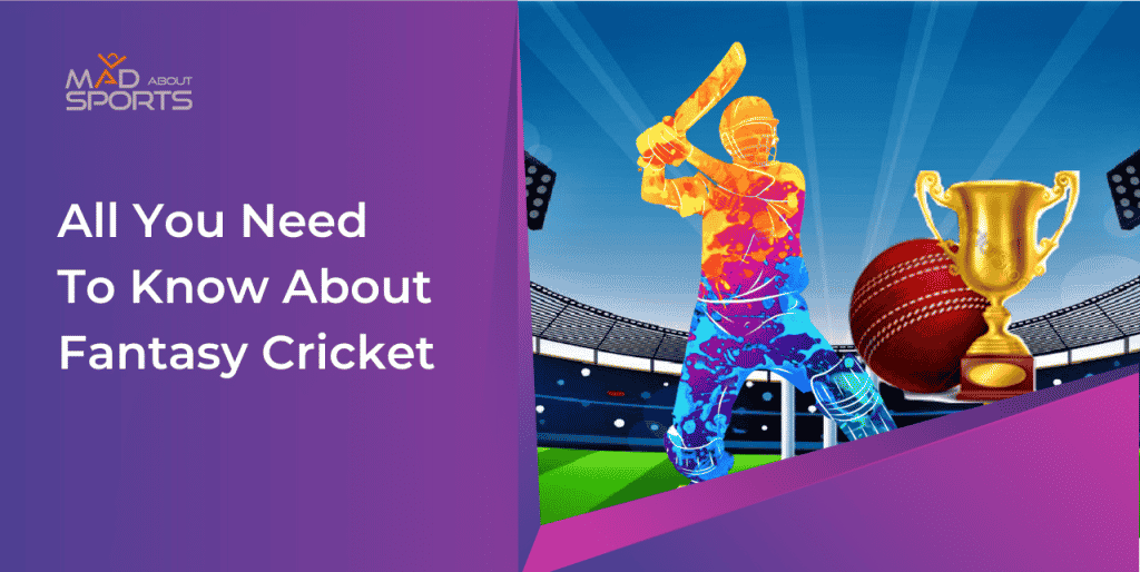 what is fantasy cricket